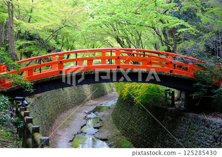 大土井和鶯橋的新綠 大土井和鶯橋的新綠 125285430