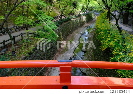 大土井和鶯橋的新綠 125285434