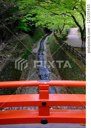 大土井和鶯橋的新綠 125285435