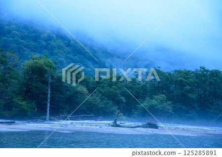 清晨霧氣瀰漫的大正池 125285891