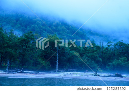 清晨霧氣瀰漫的大正池 125285892