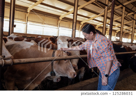A young smiling woman is stroking a cow in a cowshed. A laughing farmer in casual clothes takes care of the pets on the farm. 125286031