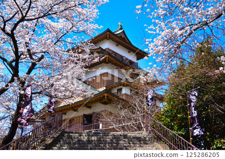 Spring Cherry Blossoms Suwa Takashima Castle 125286205