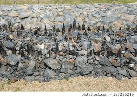 Uji River Taiko Embankment Remains 125286219