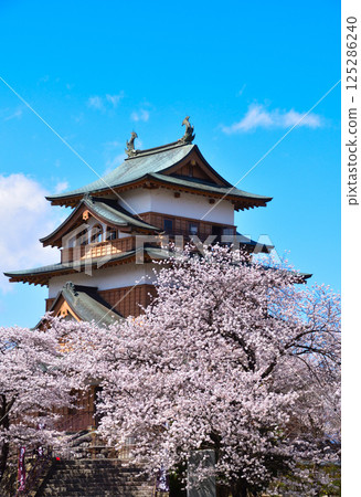 Spring Cherry Blossoms Suwa Takashima Castle Spring Cherry Blossoms Suwa Takashima Castle 125286240
