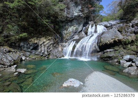 Amegaeri Falls in the Setogawa Valley: Beautiful spring scenery (Tosa Town, Kochi Prefecture) 125286370
