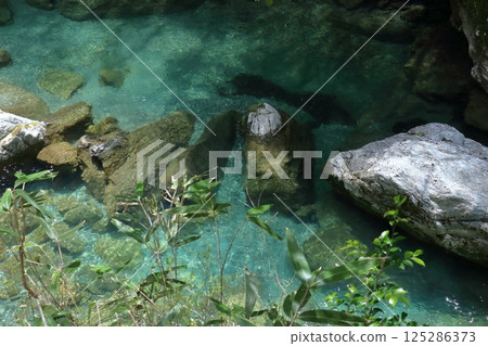 春天翠綠的瀨戶川（高知縣土佐町瀨戶川溪谷） 125286373