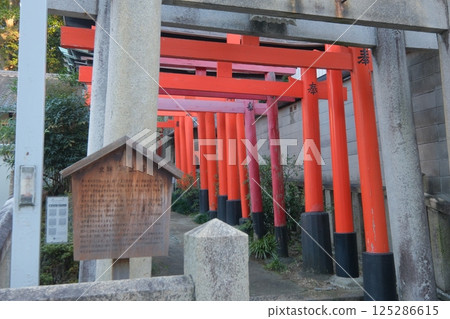中京區西京町大土居遺址 125286615