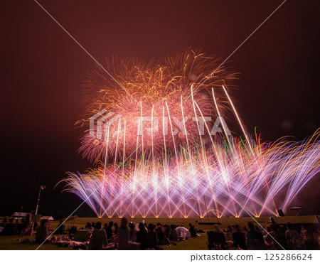 開花在夜空的煙花 125286624