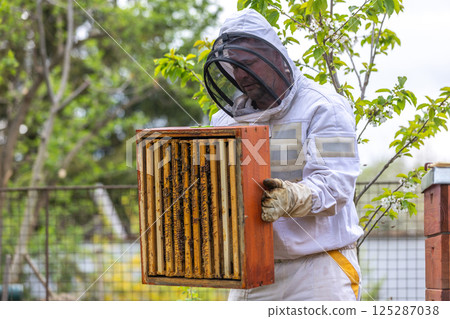 Beekeeper holding honeycomb frame in apiary examining bees working 125287038