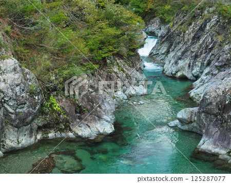 三國川和奧五澤溪谷的秋天 125287077