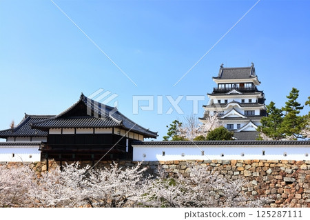 [廣島縣] 春天的櫻花盛開的福山城（重建後）福山城櫻花節 125287111