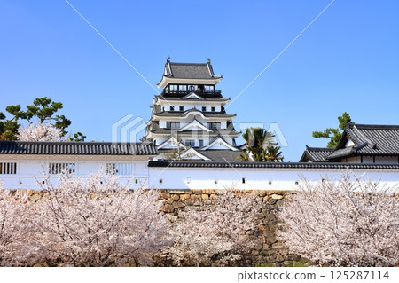 [Hiroshima Prefecture] Fukuyama Castle in spring with cherry blossoms (after reconstruction) Fukuyama Castle Cherry Blossom Festival 125287114