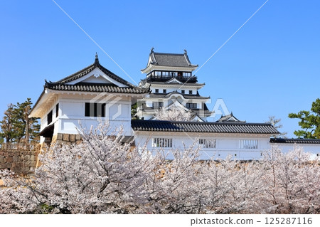 [Hiroshima Prefecture] Fukuyama Castle in spring with cherry blossoms (after reconstruction) Fukuyama Castle Cherry Blossom Festival 125287116