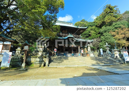 [Kagawa Prefecture] Spring at Kotohira Shrine (Asahi Shrine and main building) 125287202