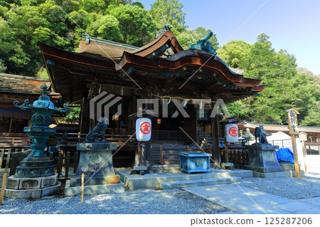 [Kagawa Prefecture] Spring at Kotohira Shrine, Konpira-san (an affiliated shrine) 125287206