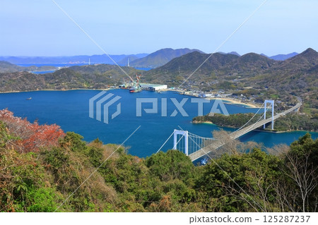 [愛媛郡] 春天櫻花盛開時從嘉井山展望公園眺望大島大橋（島波街道） 125287237