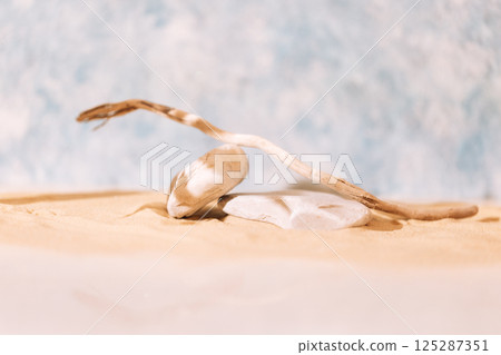 A stage for beauty cosmetic products with textured stones and a tree branch 125287351