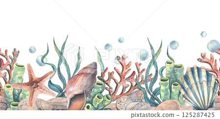 Seashells, seaweed, starfish, corals, sea sponges and pebbles, bubbles. Marine watercolor illustration of the underwater world drawn by hand. Seamless pattern border isolated from the background. 125287425