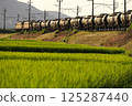 夏季穿越鄉村的貨運列車 125287440