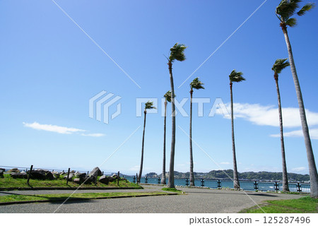 Scenery from Kotsubo Iijima Park in Zushi City 125287496