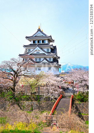 <Gifu Prefecture> Suminomata Ichiya Castle and cherry blossoms in full bloom in spring <Gifu Prefecture> Suminomata Ichiya Castle and cherry blossoms in full bloom in spring 125288394