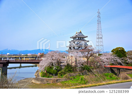 <Gifu Prefecture> Suminomata Ichiya Castle and cherry blossoms in full bloom in spring <Gifu Prefecture> Suminomata Ichiya Castle and cherry blossoms in full bloom in spring 125288399