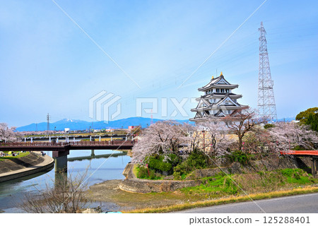 <Gifu Prefecture> Suminomata Ichiya Castle and cherry blossoms in full bloom in spring <Gifu Prefecture> Suminomata Ichiya Castle and cherry blossoms in full bloom in spring 125288401