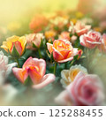 A garden of colorful roses both buds and blooms 125288455