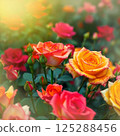 A garden of colorful roses 125288456