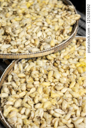 freshly harvested raw silkworm cocoons in traditonal silk farm in cambodia 125288992