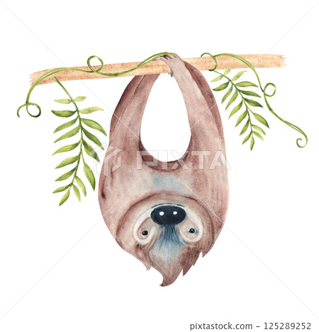 Sloth hanging upside down on Liana branch with tropical leaves. Watercolor painting of cute Tropical animal isolated on white background. For kids cards and posters, wallpaper. 125289252