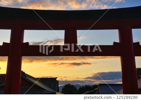 京都伏見稻荷大社:美麗的夕陽和鳥居(京都府京都市伏見區) 京都伏見稻荷大社:美麗的夕陽和鳥居(京都府京都市伏見區) 125289280