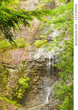 A waterfall surrounded by fresh greenery A waterfall surrounded by fresh greenery 125289492