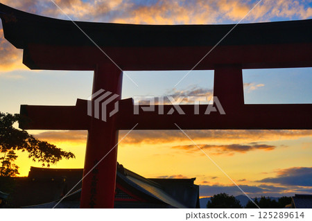 Kyoto Fushimi Inari Taisha Shrine: Beautiful sunset and torii gate (Fushimi Ward, Kyoto City, Kyoto Prefecture) Kyoto Fushimi Inari Taisha Shrine: Beautiful sunset and torii gate (Fushimi Ward, Kyoto City, Kyoto Prefecture) 125289614