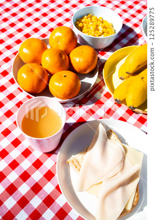 Picnic table with fruit, cheese sandwich, and juice on checkered cloth Picnic table with fruit, cheese sandwich, and juice on checkered cloth 125289775