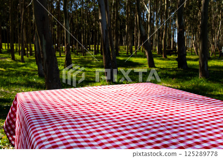 Red checkered tablecloth on picnic table in sunlit forest clearing 125289778