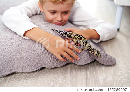 Boy interacts with a leopard gecko on a cozy cushion at home during the afternoon Boy interacts with a leopard gecko on a cozy cushion at home during the afternoon 125289907