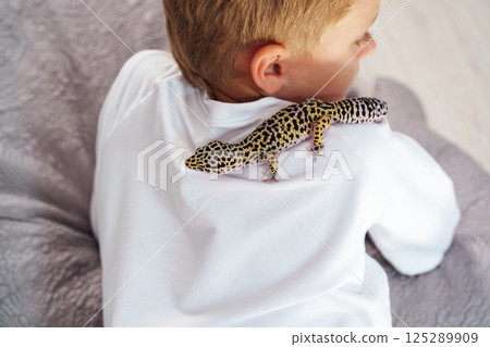 Young child interacts with a pet leopard gecko on a casual day indoors Young child interacts with a pet leopard gecko on a casual day indoors 125289909
