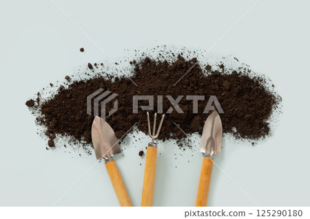 Various gardening Hand tools on beige background. Top view. 125290180