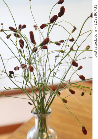 I'm sorry. I'm sorry. 125290433