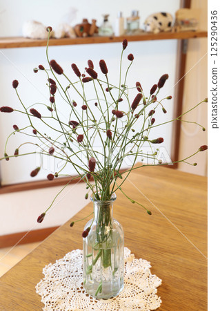 Arranging Amberjacks 125290436