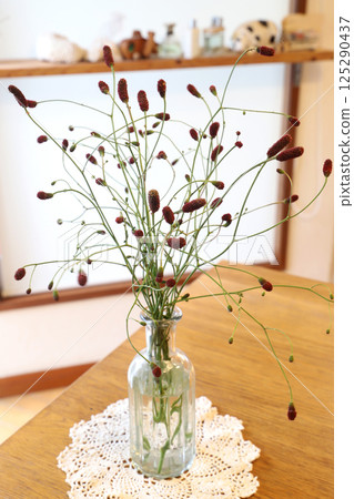 Decorating the Waremoko Decorating the Waremoko 125290437