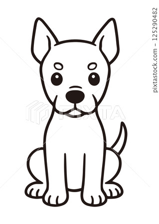 Illustration of a Doberman sitting facing forward 125290482