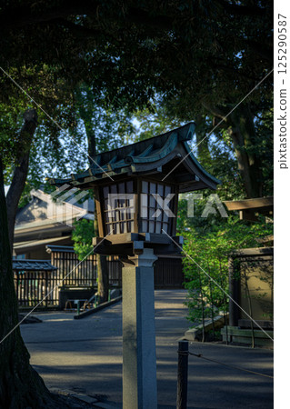 The atmospheric lanterns in the grounds of Meiji Shrine, bathed in sunlight filtering through the trees The atmospheric lanterns in the grounds of Meiji Shrine, bathed in sunlight filtering through the trees 125290587