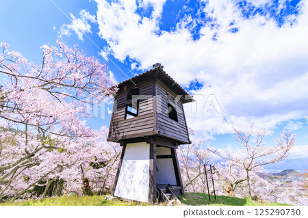 櫻花盛開的高遠城跡公園 125290730