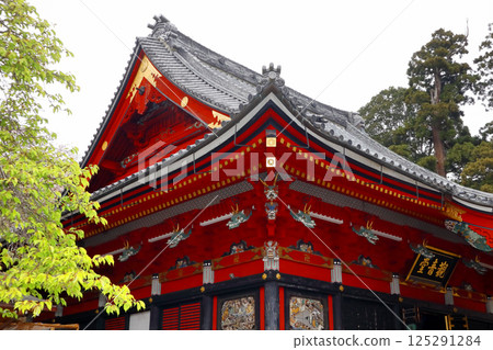 Romantic Ibaraki (The main hall of Amabikiyama Rakuhoji Temple. The principal image is Kannon Bodhisattva.) Sakuragawa City, Amabiki Kannon Romantic Ibaraki (The main hall of Amabikiyama Rakuhoji Temple. The principal image is Kannon Bodhisattva.) Sakuragawa City, Amabiki Kannon 125291284