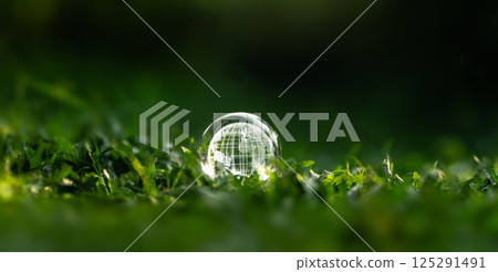 Crystal globe glass on green grass to protect nature Save and care World for sustainable 125291491