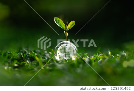 Earth Day concept of nature and protecting the world and preserving nature and the environment sustainably. 125291492