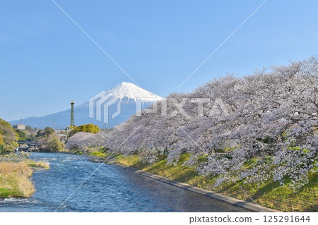 Ryuganbuchi Falls with cherry blossoms in full bloom, Shizuoka Ryuganbuchi Falls with cherry blossoms in full bloom, Shizuoka 125291644